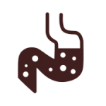 earthzpet digestive health icon